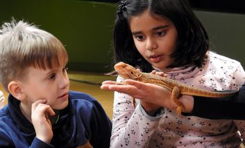 Das Bild zeigt zwei Kinder, die eine Bartagame in der Hand eines Erwachsenen bestaunen.