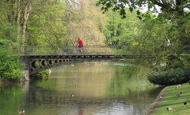 Fahrradtour durch Flora und Fauna von Düsseldorf: 13. und 14. Juni 2018