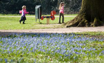 Ostpark - Scillablüte