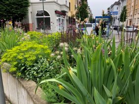 Ein Beispiel für ein bereits realisiertes platzgrün!-Projekt. Foto: Dr. Dickel