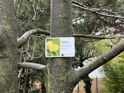 Eröffnung der Woche der Klimaanpassung am 16. September im Phänologischen Garten Düsseldorf mit einer spannenden Führung rund um das Thema "Pflanzen und Wetter beobachten". © LHD