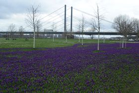 Gartenamt Düsseldorf/David Young