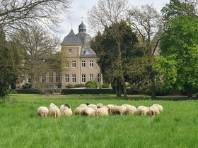 Landeshauptstadt Düsseldorf/Gartenamt