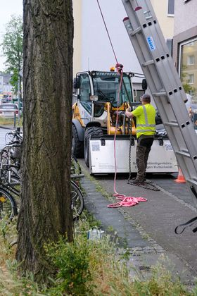 Landeshauptstadt Düsseldorf/Michael Gstettenbauer