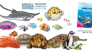 Illustrationen der Tiere im Aquazoo: Rochen, Krokodil, Clownfisch, Kugelfisch, Seeanemone, Schildkröten und Pinguin