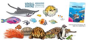 Illustrationen der Tiere im Aquazoo: Rochen, Krokodil, Clownfisch, Kugelfisch, Seeanemone, Schildkröten und Pinguin