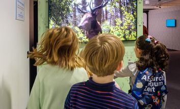 Kindermuseumsnacht ©Landeshauptstadt Düsseldorf/Uwe Schaffmeister