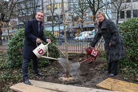 Landeshauptstadt Düsseldorf, Melanie Zanin