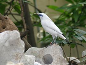 Aquazoo Löbbecke Museum