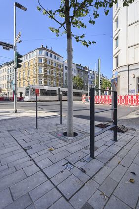 Entlang der Friedrichstraße wurden bereits mehrere neue Bäume gepflanzt. An diesem Standort wurden auch Fahrradbügel installiert. © Landeshauptstadt Düsseldorf/ Claus Langer