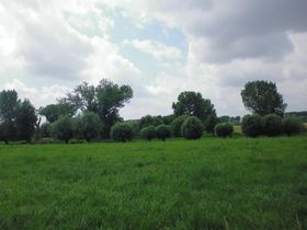 Landeshauptstadt Düsseldorf/Garten-, Friedhofs und Forstamt