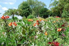 Landeshauptstadt Düsseldorf/Gartenamt