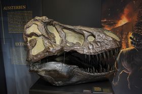 Aquazoo Löbbecke Museum