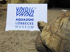 Aquazoo Löbbecke Museum/Philipp-Martin Schroeder