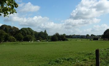 Landschaft Knittkuhl