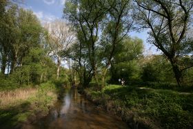 Landeshauptstadt Düsseldorf/Gartenamt