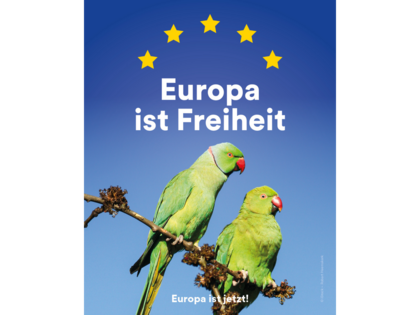 Europa ist Freiheit © Landeshauptstadt Düsseldorf