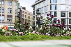 Landeshauptstadt Düsseldorf/Melanie Zanin