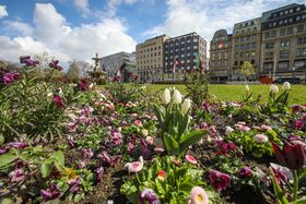 Landeshauptstadt Düsseldorf/Melanie Zanin