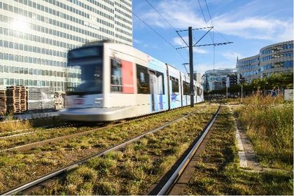 Grüne Gleise vorm Dreischeibenhaus in Düsseldorf