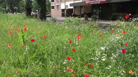 Landeshauptstadt Düsseldorf, Gartenamt