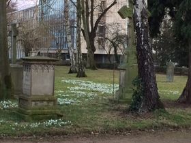 Landeshauptstadt Düsseldorf, Gartenamt