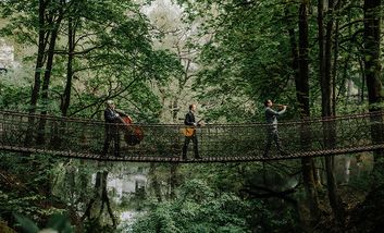 Foto von Wildes Holz für das Konzert