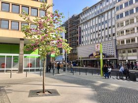 Landeshauptstadt Düsseldorf, Amt für Verkehrsmanagement